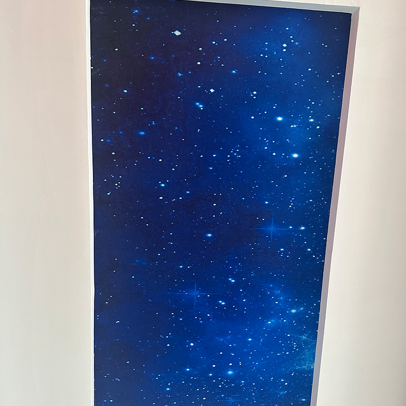 RGBW Moderné hviezdne stropné svietidlá Prispôsobiteľný dizajn Fotografovanie s optickými vláknami 3D model pre hotelové vlastné grafické riešenia RGBW Moderné hviezdne stropné svietidlá Prispôsobiteľný dizajn Fotografovanie s optickými vláknami 3D model pre hotelové vlastné grafické riešenia